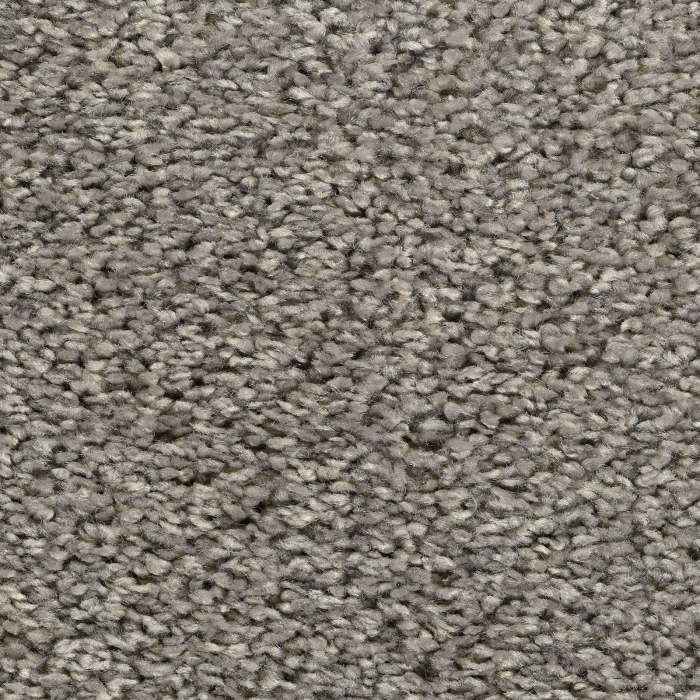 Frisé - Manduro - 002